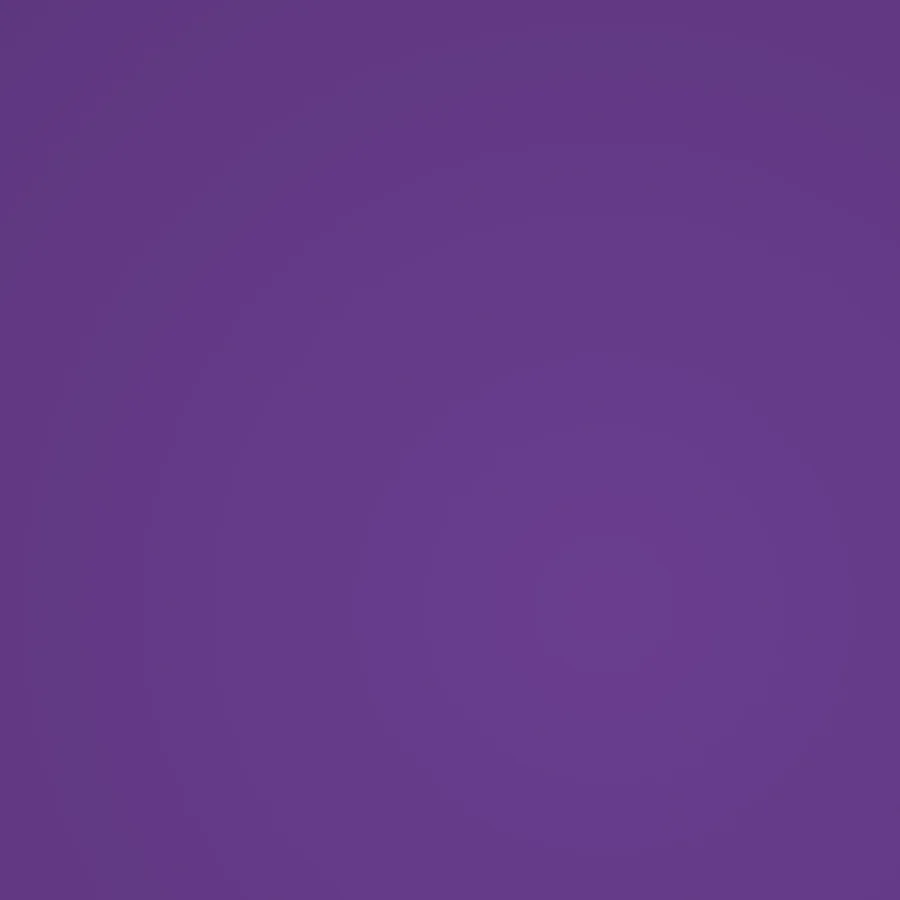 Bisnaga Xadrez Violeta